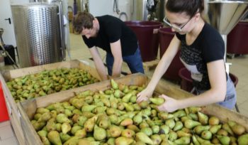 5 faktów o okowicie, które pomogą Tobie nawiązać relacje z nieznajomymi